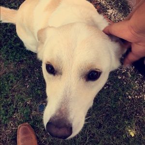 Meet your Posher, Milagros